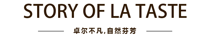 亚游集团·ag8(中国)官网-只為非同凡享